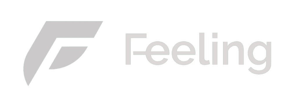 Feeling-02.digileading.com
